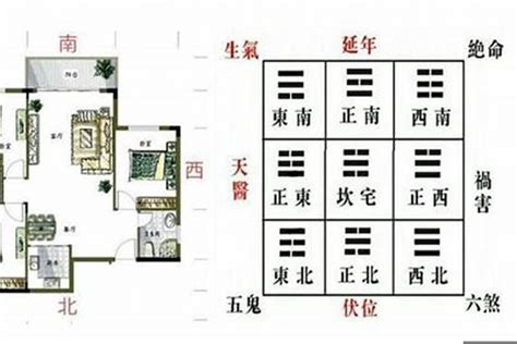 青龙位要放什么|家居风水：龙的正确摆放。